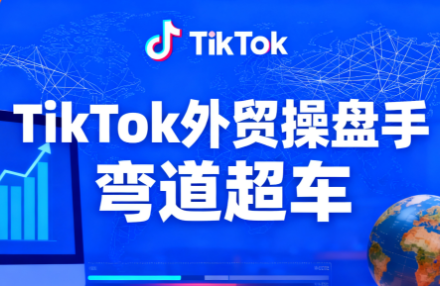 TikTok外贸操盘手(更新11月)-摇钱树